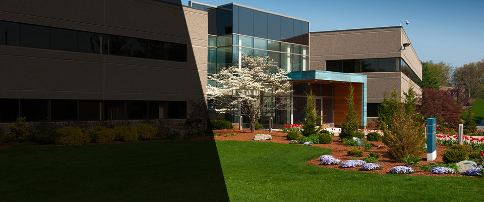 Montpelier Landscapers