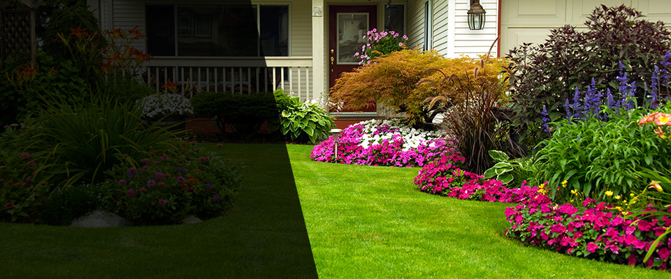 Montpelier Landscapers